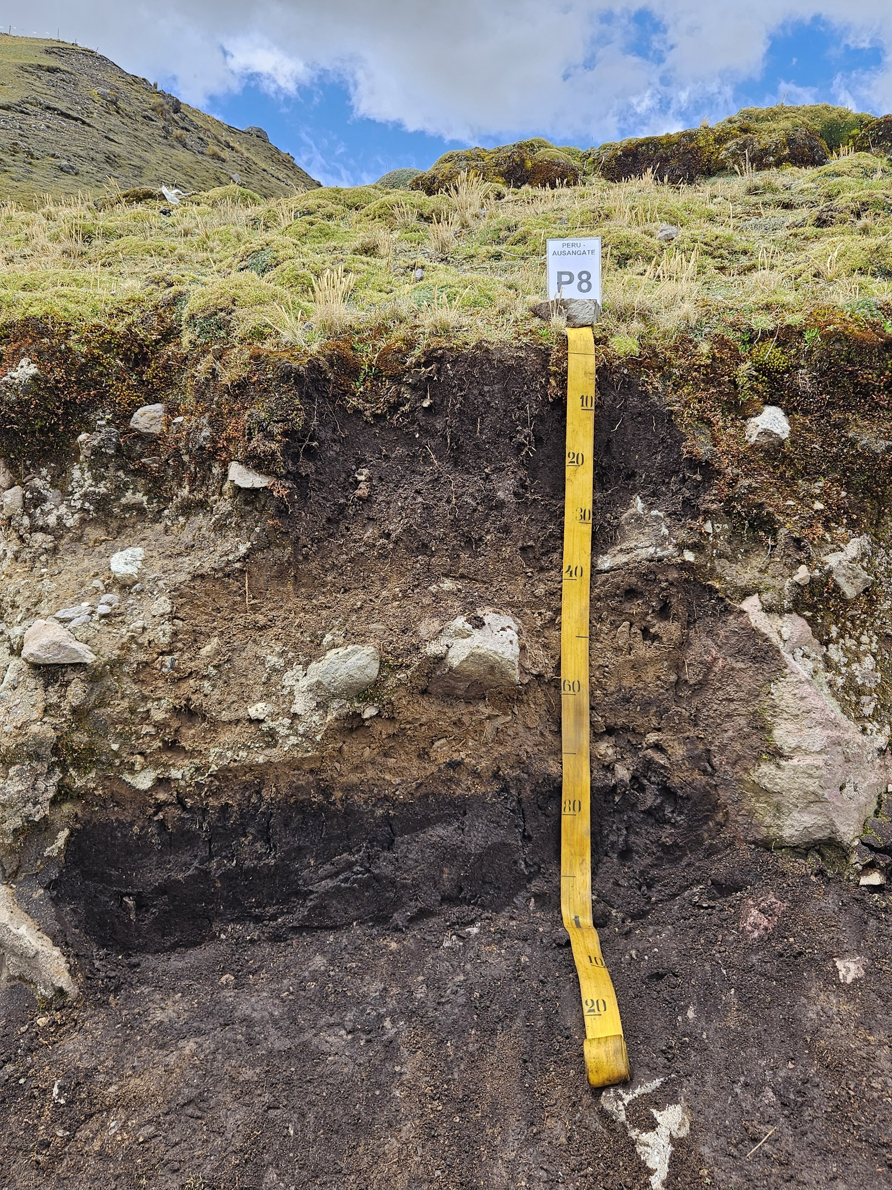 Perfil de solo aberto em campo nos Andes Peruanos para descrição, classificação e coleta de amostras