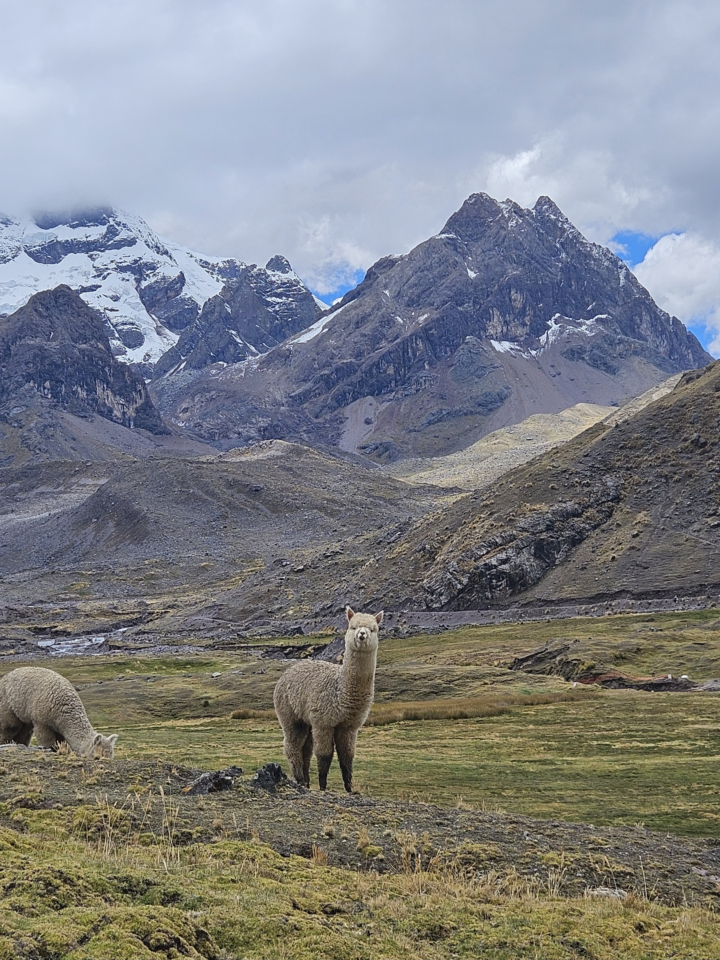  Paisagem nos Andes Peruanos